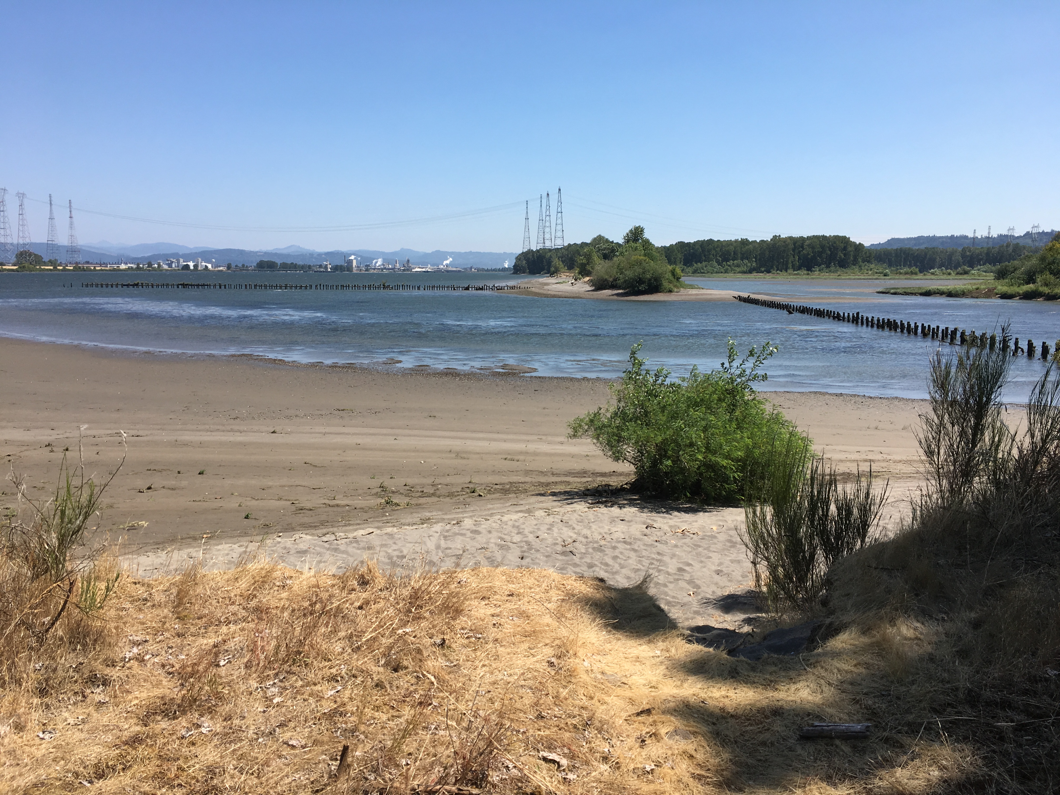 Walker Island East (OR) Estuary Partnership